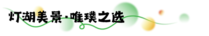z6集团|中国平台官方官网