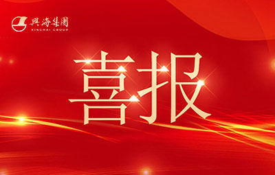 喜讯丨热烈祝贺z6平台铜铝业公司荣登2025年中国民营企业500强！